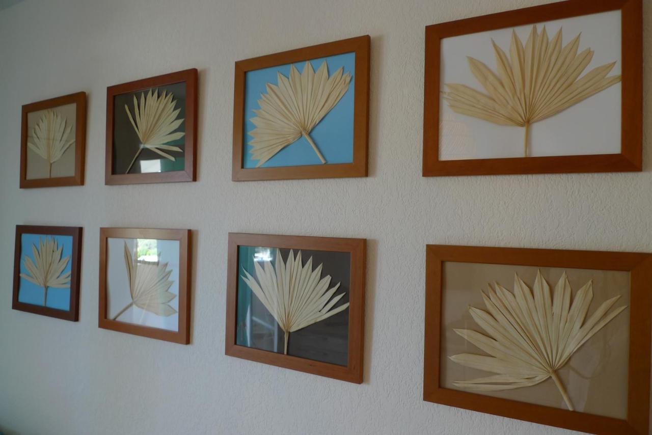 Nidu Accogliente In Balagna Apartment