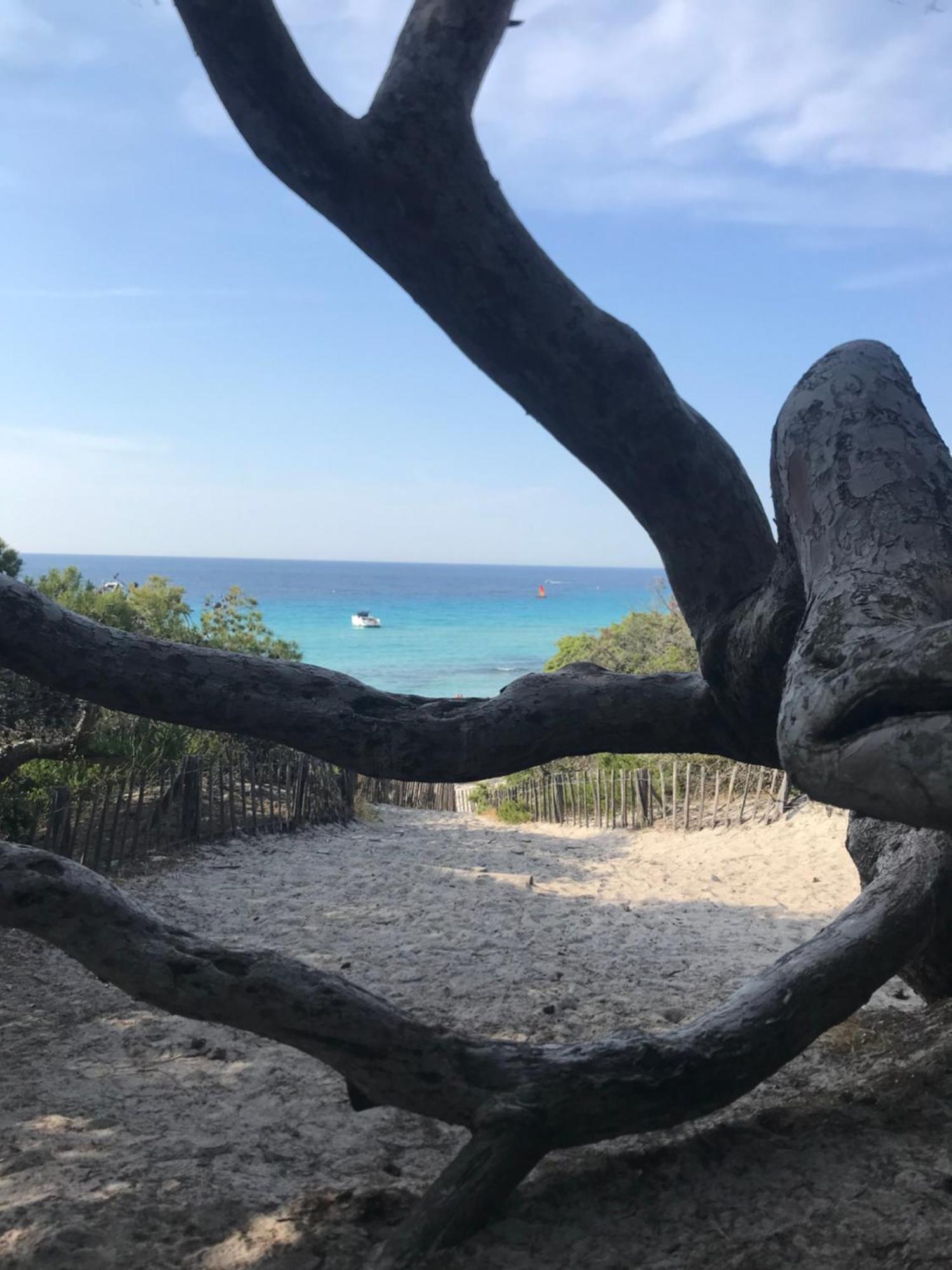 Apartment Nidu Accogliente In Balagna L'Ile-Rousse (Corsica)