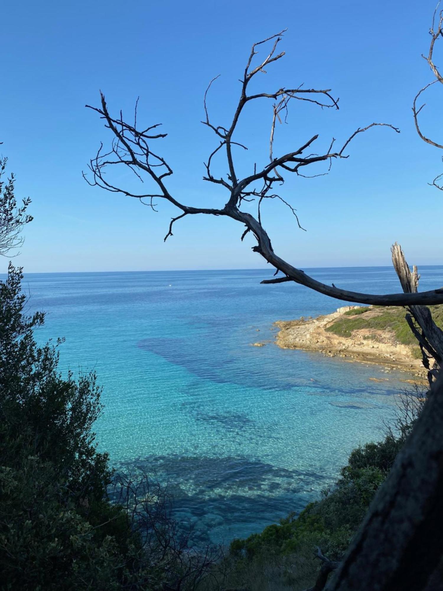 Apartment Nidu Accogliente In Balagna L'Ile-Rousse (Corsica)